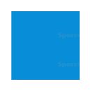 Color 5 ltr. Fordson Empire Blue